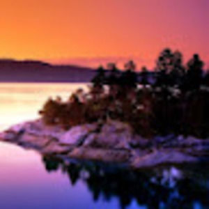 Meet your Posher, Brody